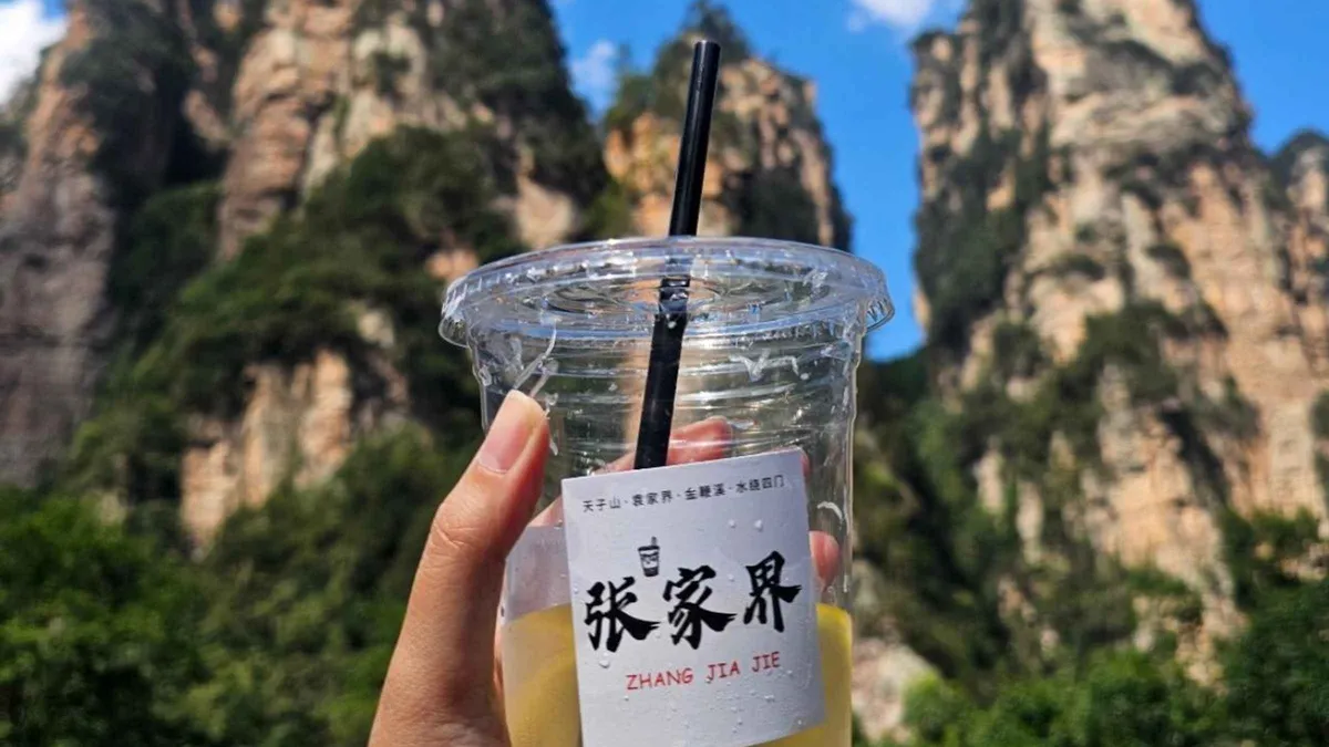 Viewing platform above the Yuanjiajie pillars reached with a park entry ticket on a Zhangjiajie China tour, Hunan